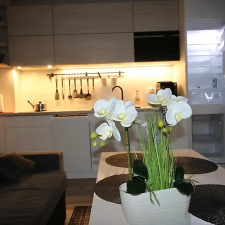 アパート Ars Platinium Z Garazem Podziemnym - *