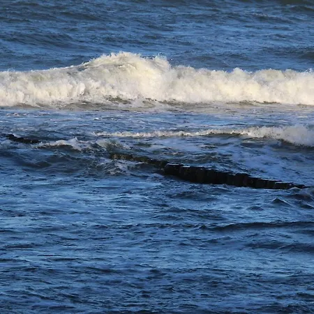 Ars Platinium Z Garazem Podziemnym - * レバル