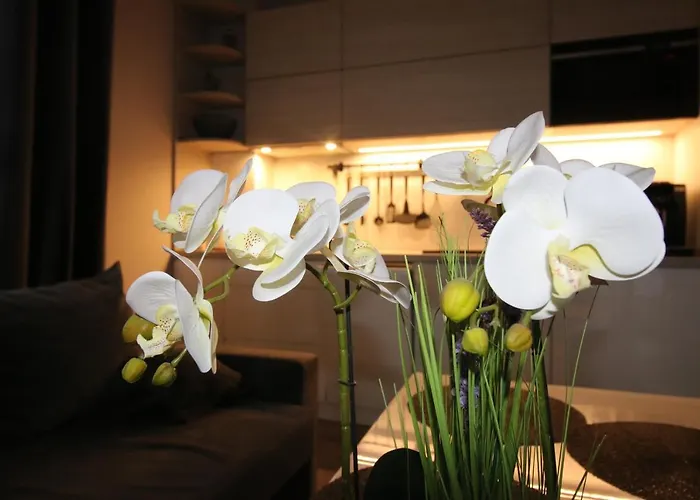 Ars Platinium 6 Os Z Garazem Podziemnym W Cenie - *