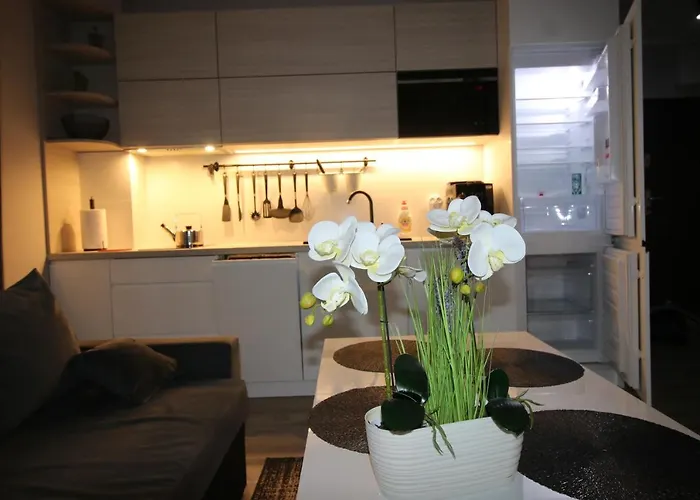 公寓 Ars Platinium 6 Os Z Garazem Podziemnym W Cenie - *