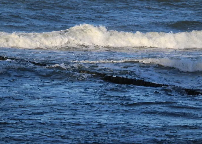 Ars Platinium 6 Os Z Garazem Podziemnym W Cenie - * レバル